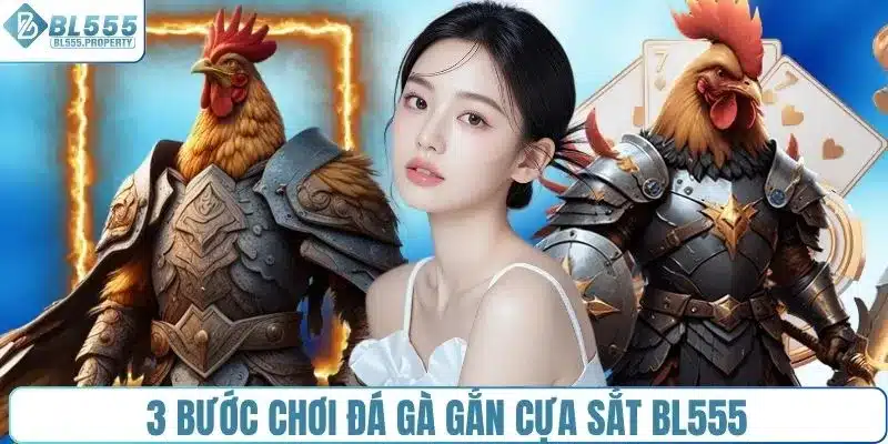 3 bước chơi đá gà gắn cựa sắt BL555