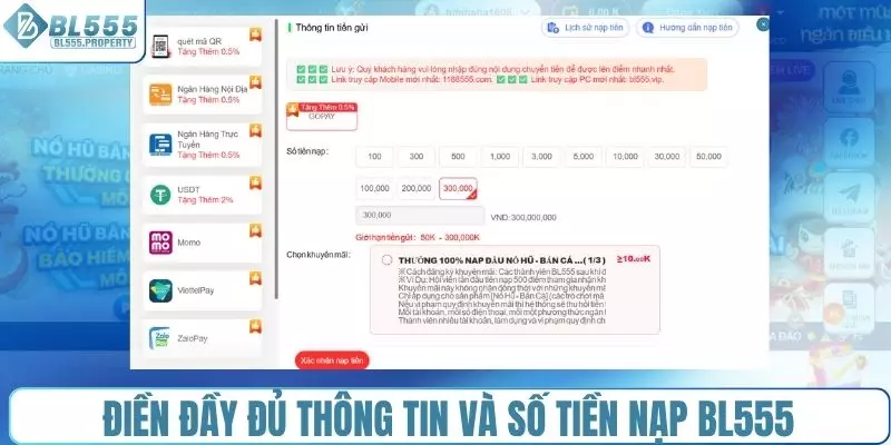 Điền đầy đủ thông tin và số tiền nạp BL555