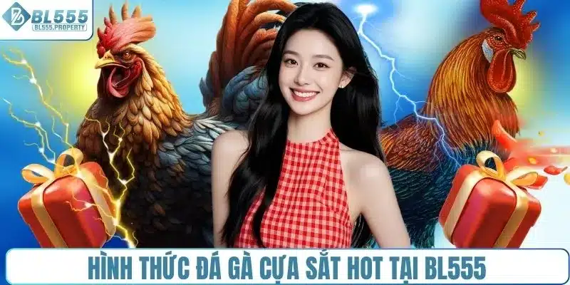 Hình thức đá gà cựa sắt HOT tại BL555