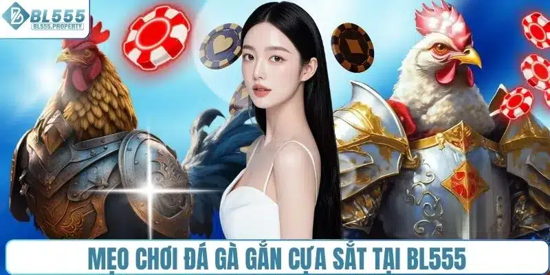Mẹo chơi đá gà gắn cựa sắt tại BL555
