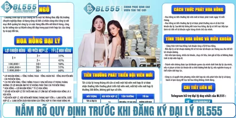 Nắm rõ quy định trước khi đăng ký đại lý BL555