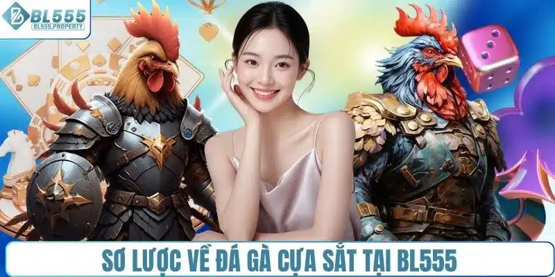 Sơ lược về đá gà cựa sắt tại BL555