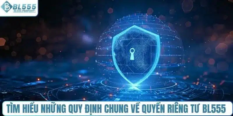 Tìm hiểu những quy định chung về quyền riêng tư BL555