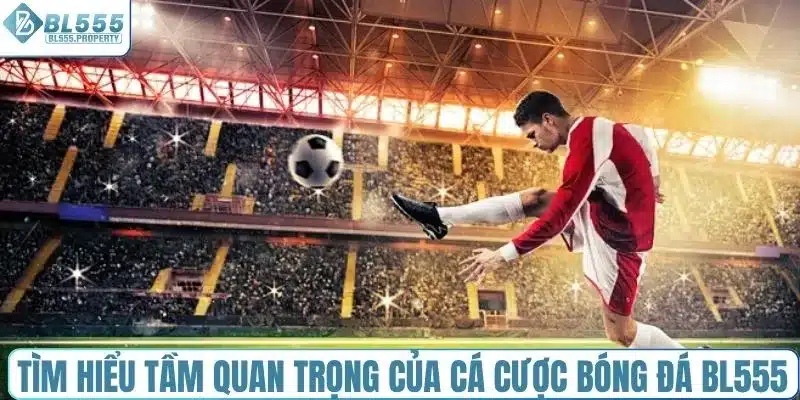 Tìm hiểu tầm quan trọng của cá cược bóng đá BL555
